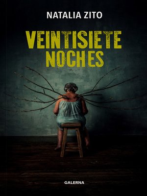 cover image of Veintisiete noches